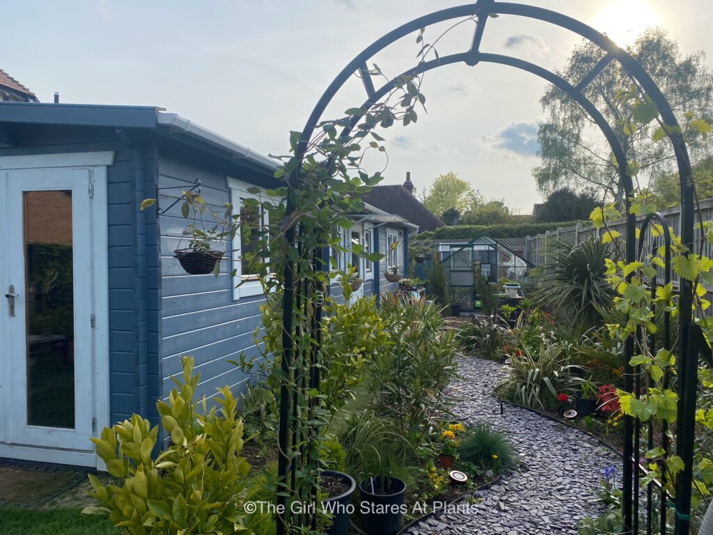 Cabin with an archway and winding path. Garden design