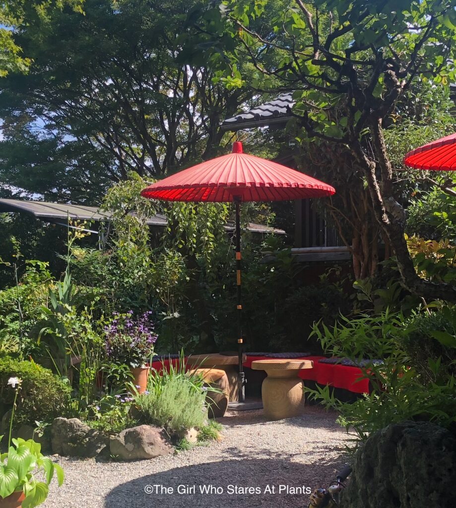 Small round table and seating area, enveloped in plants with a red umbrella. Garden design