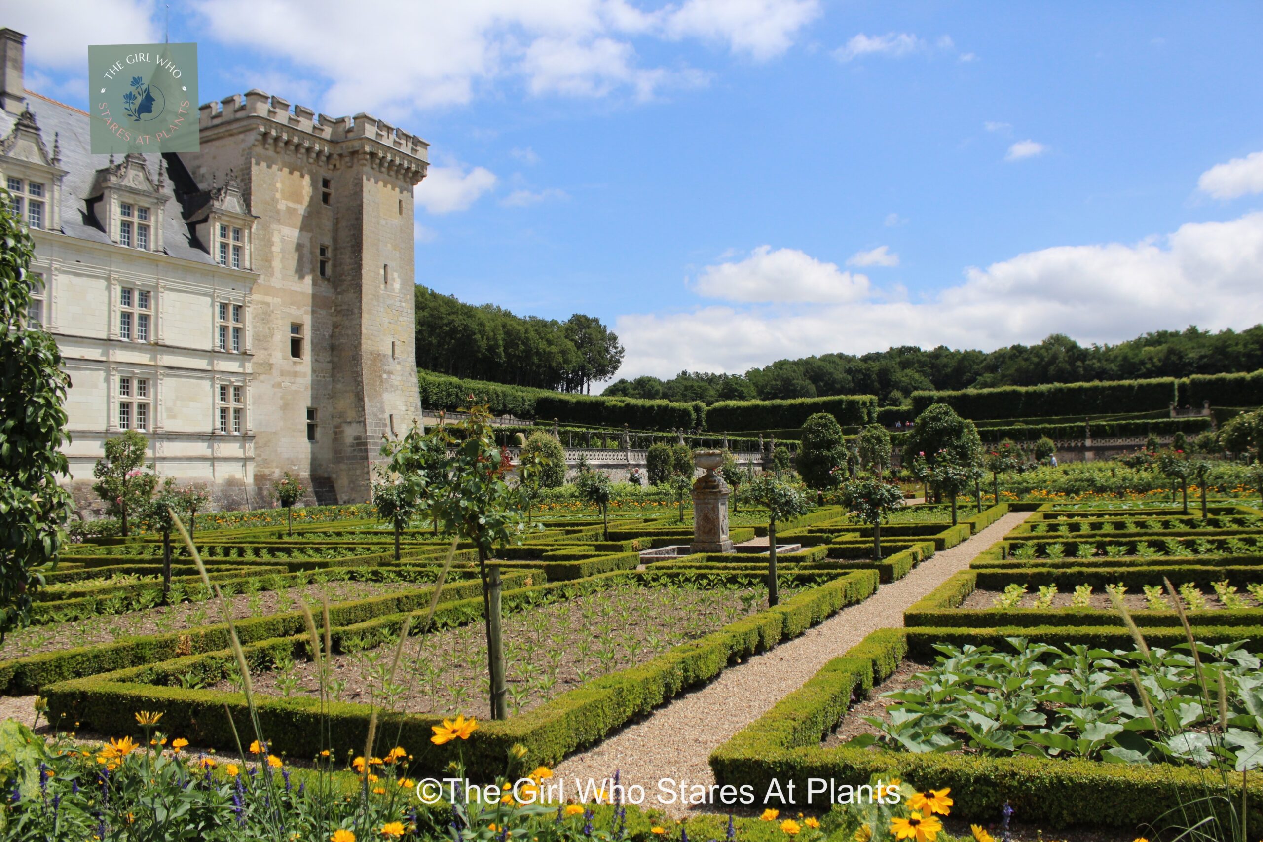 Potager garden in villandry a great example of garden site assessment