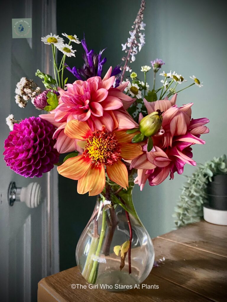 Bunch of wonderful flowers including dahlias