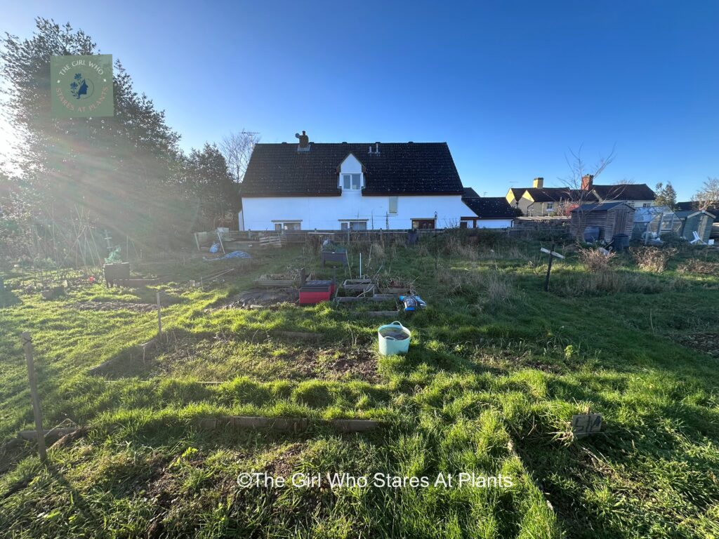 Allotment plot