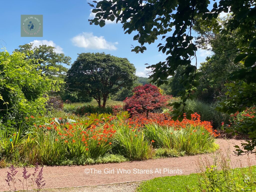 Trees and flowers surround a path.