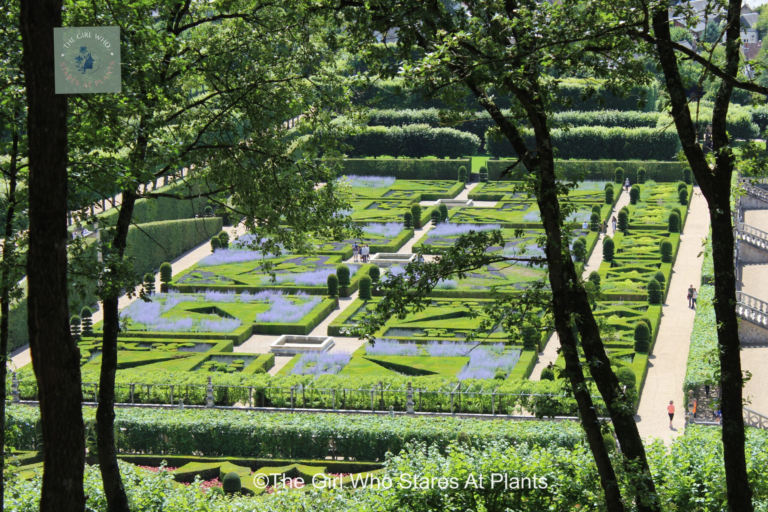 Villandry potager garden. Logical layout