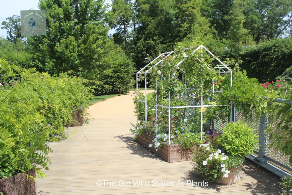 Green house frame with plants growing up it. Garden design embellishments