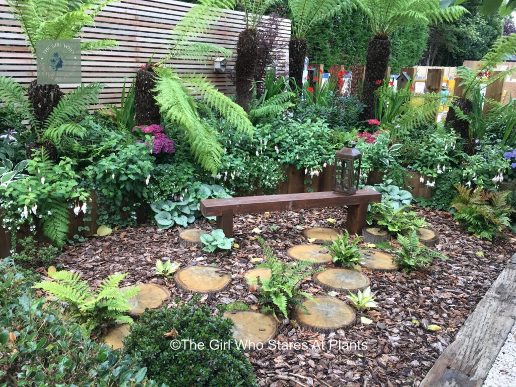 Simple garden bench in woodland and wooden screen