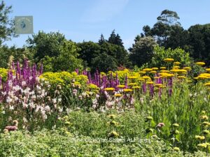 Seeds, Trees and the Wonderful World of Flowers