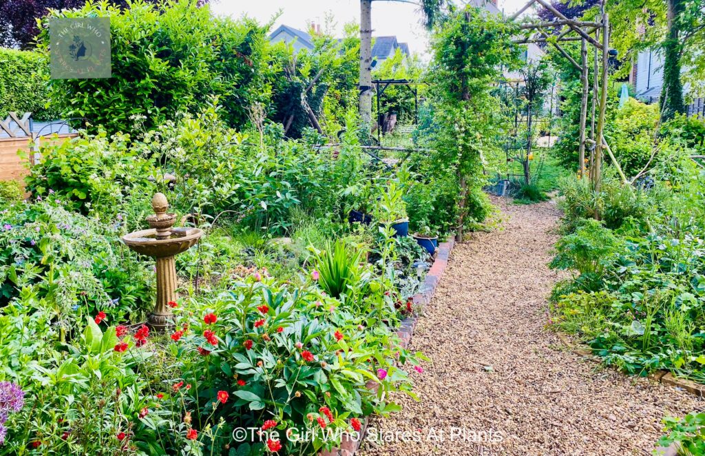 Garden design focusing on a shingle pathway running through a flower bed