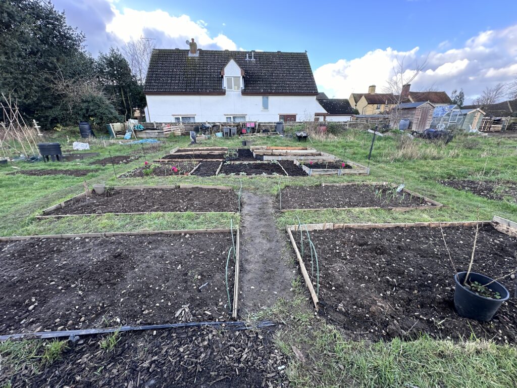 Funky February update of the planting beds at the allot-pot. 