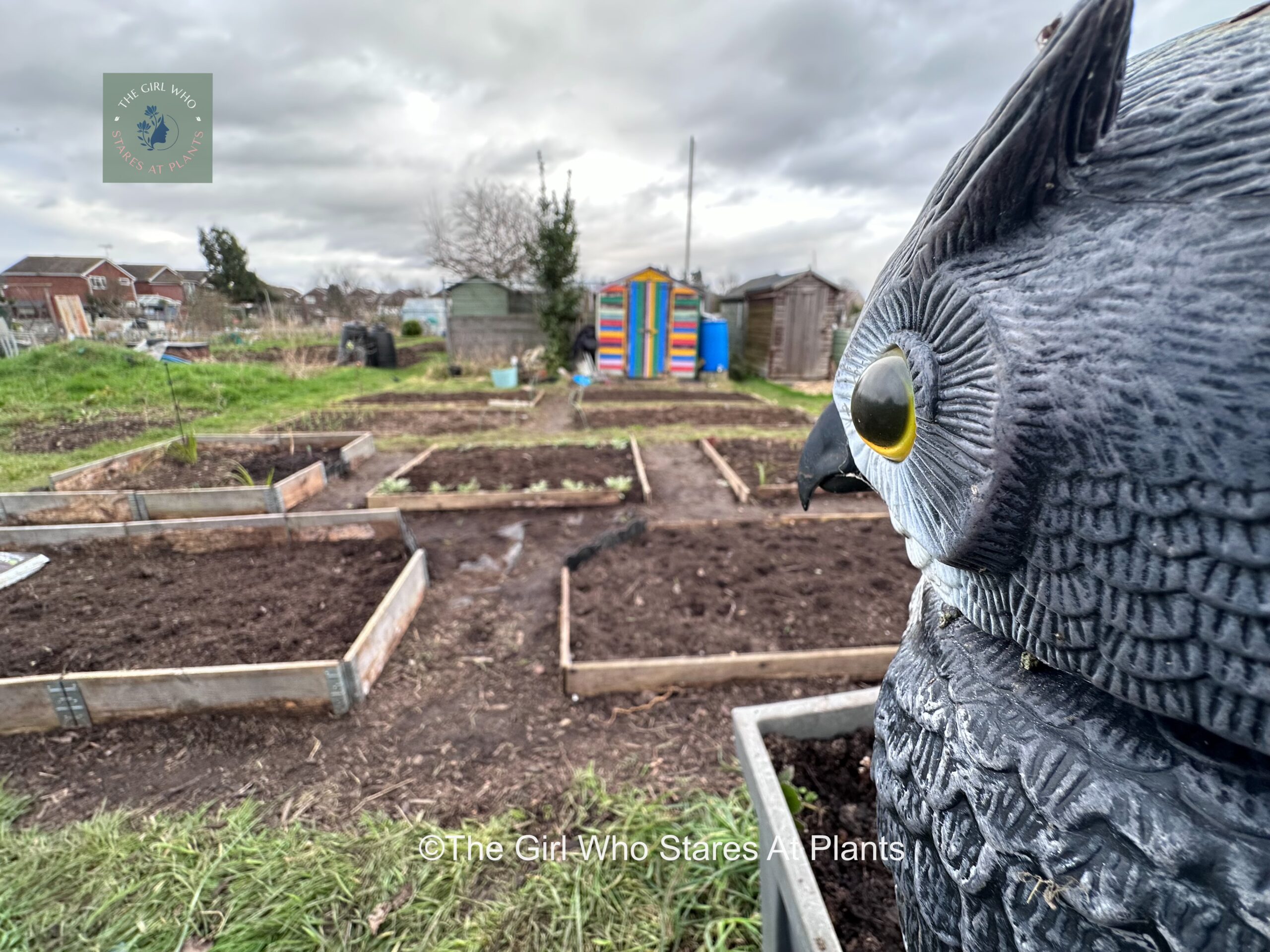 Allot-pot freshly dug beds Birds Eye view