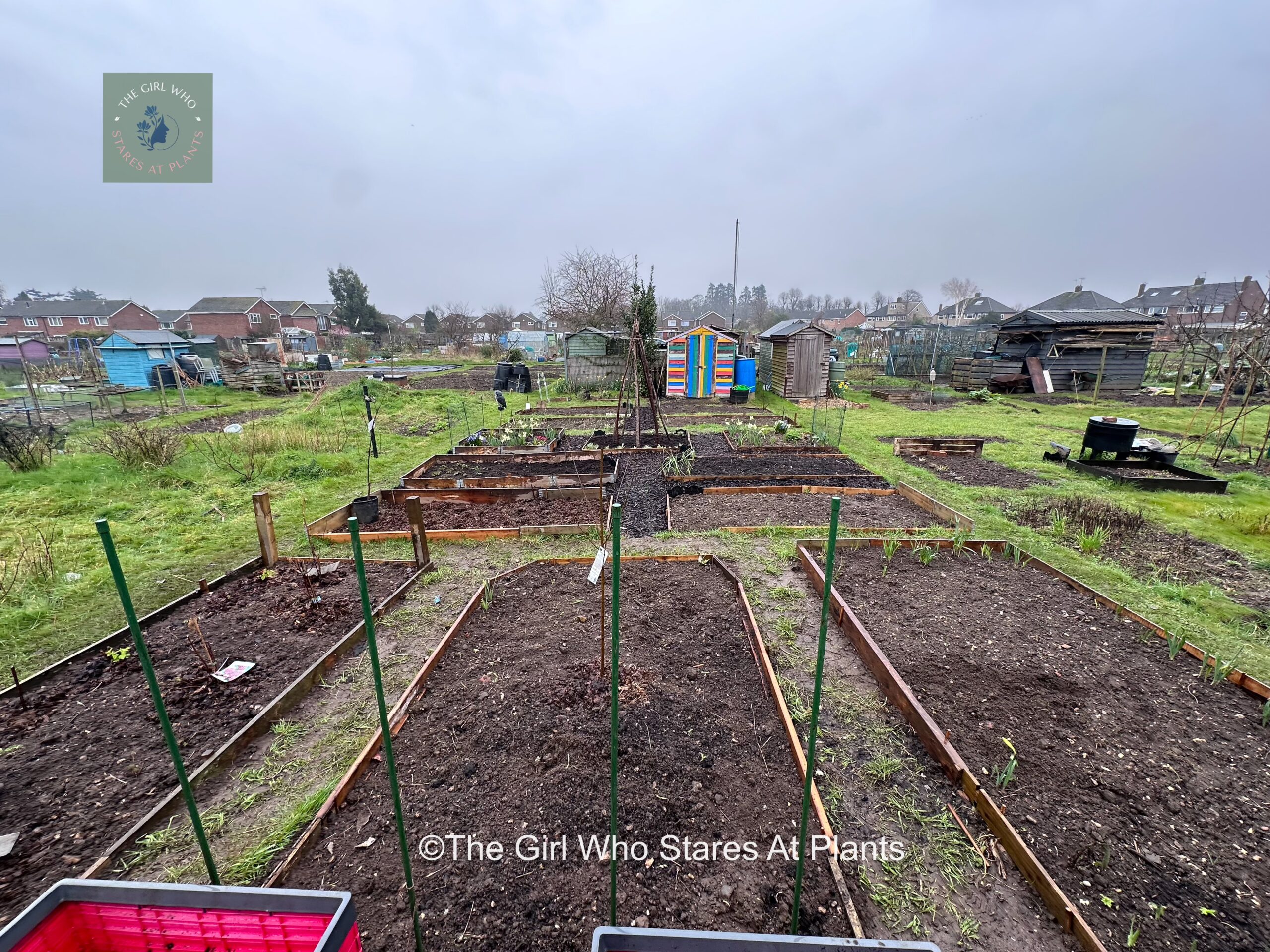 Allotment crossed with a potager garden allot-pot