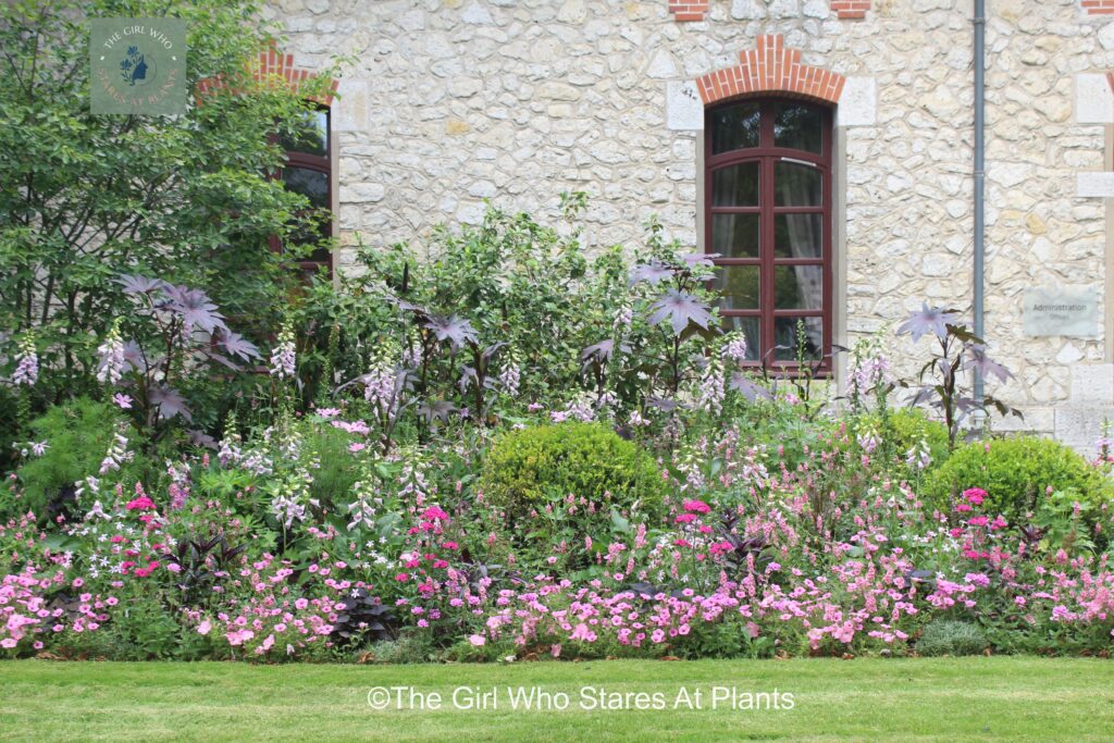 Layers of flower boarder for use in a small garden 