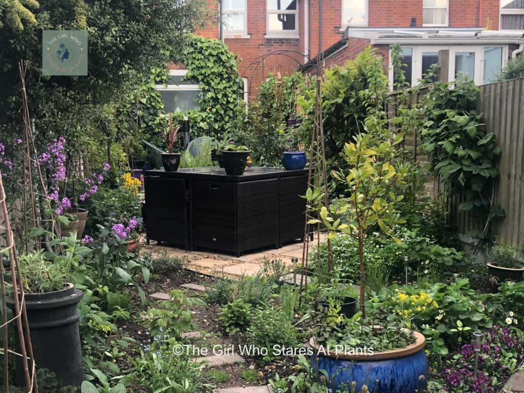 Small garden with a compact cube seating area