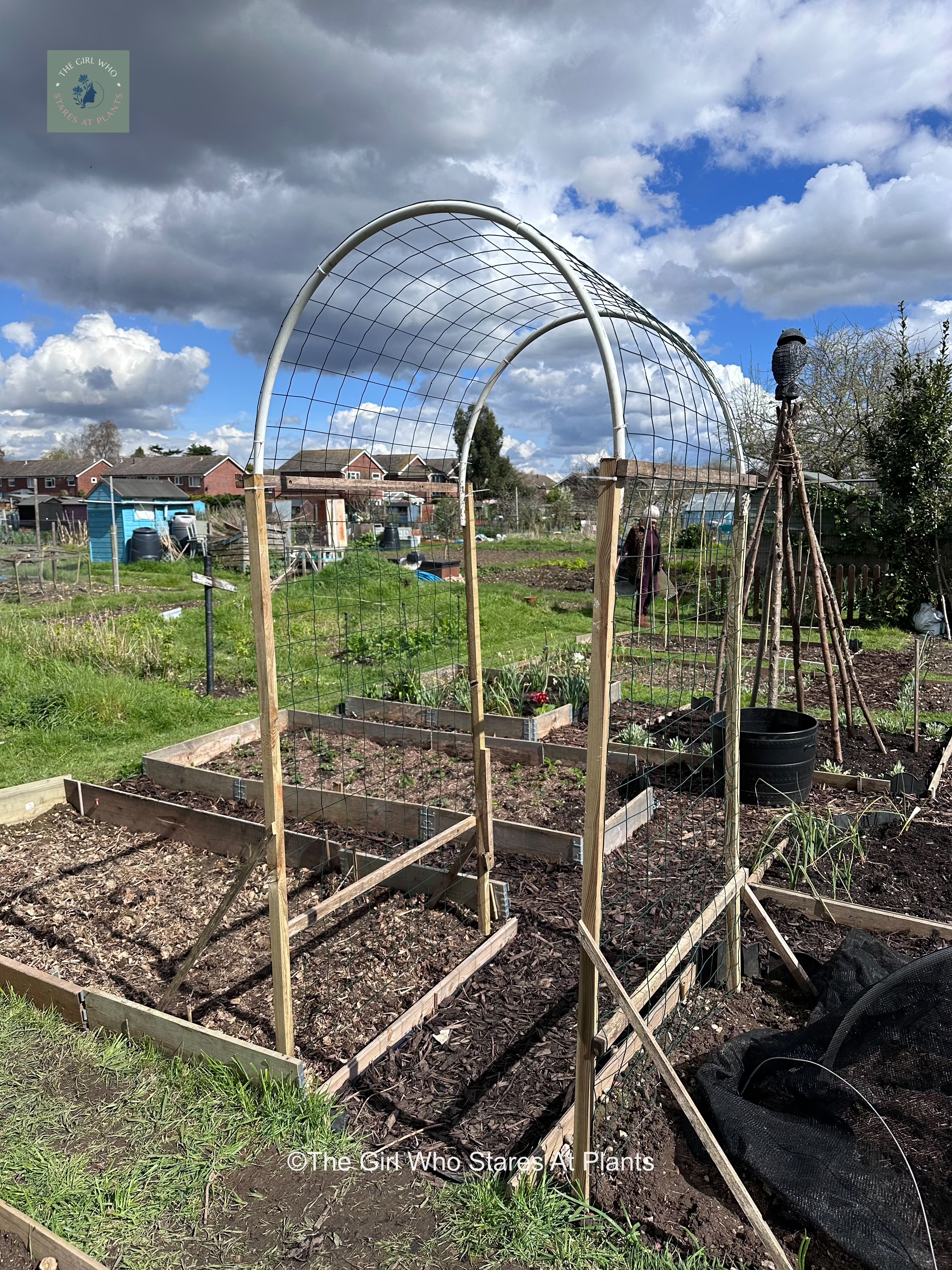 Squash arch in an allotment