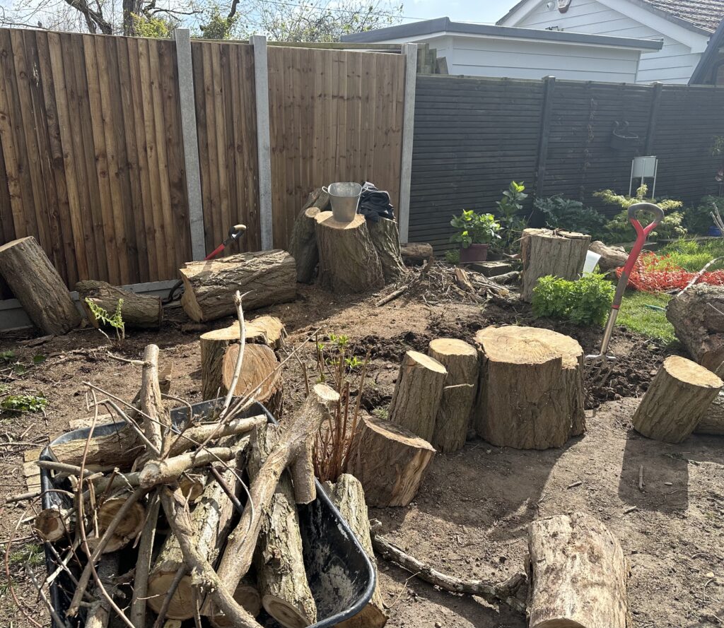 Logs being used as a seating area