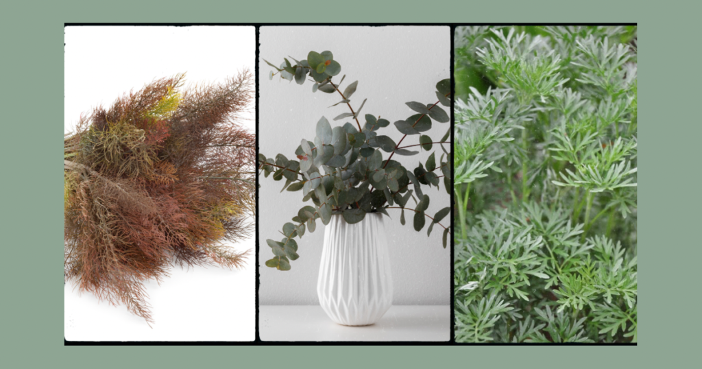 3 types of plants to use as cutting flowers foliage, fennel, eucalyptus and artimisa