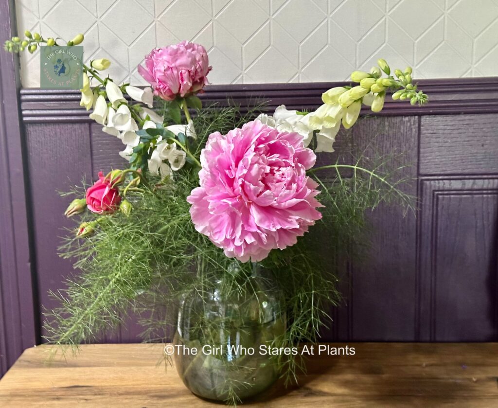 Cutting flower vase peonies foxgloves fennel and rose