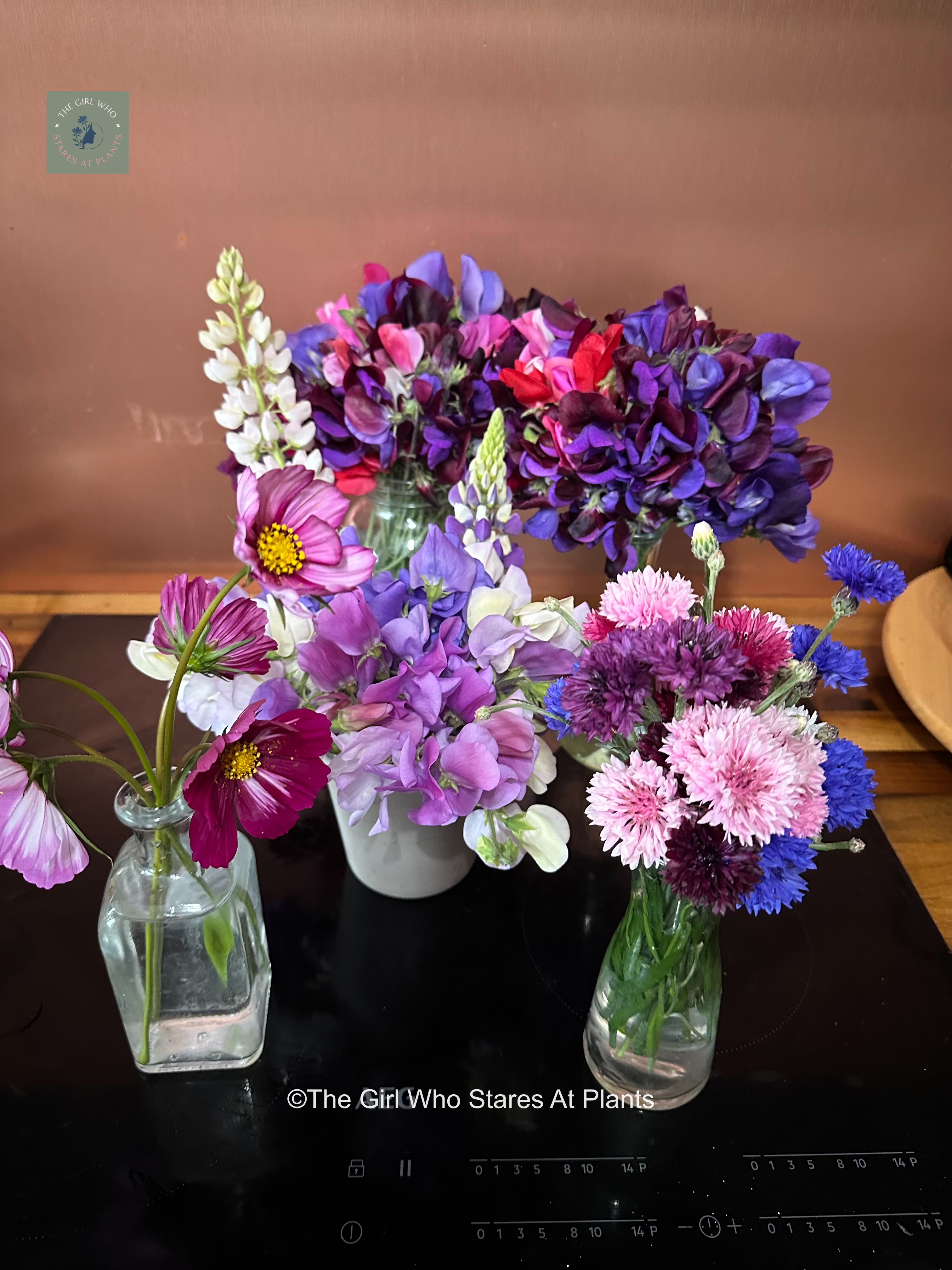 Vases of home grown flowers including sweet peas and carnations