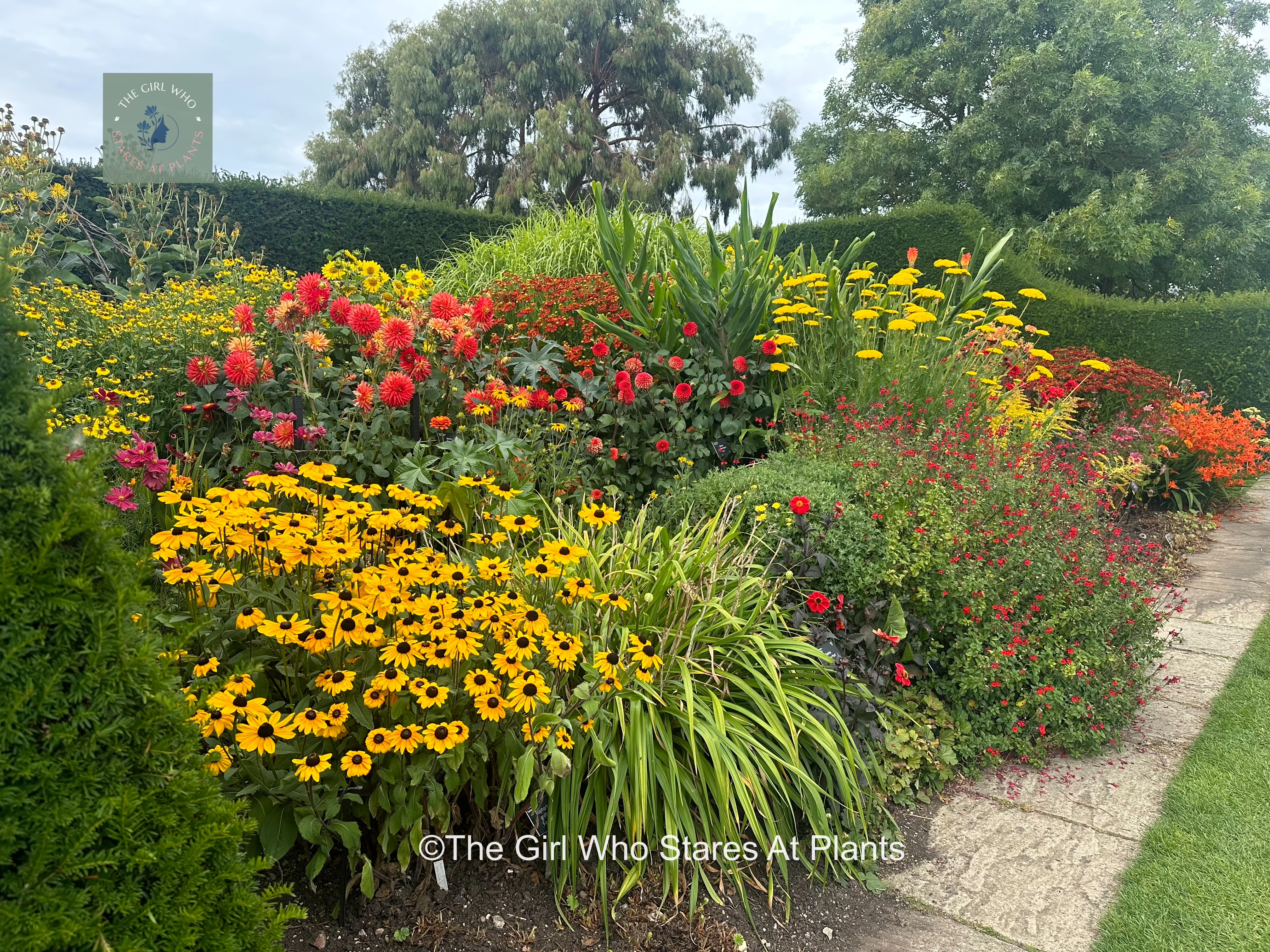 Orange and red flower border with dahlias, red hot pokers, rudbeckia, heleniums, salvias, achilleas, crocosmia, bananas. 