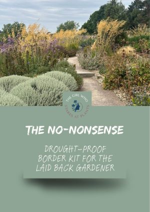 The Drought-Proof Border Kit