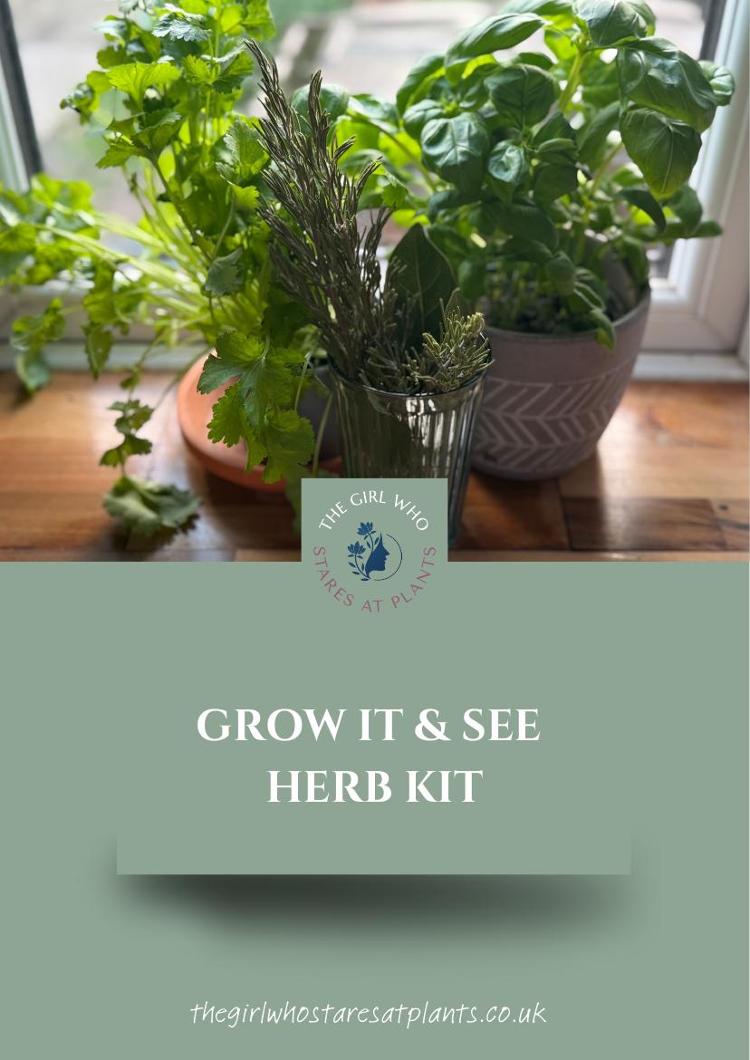 The Herb Kit cover