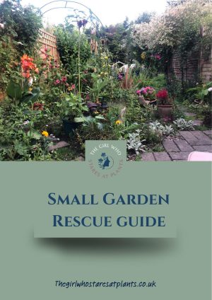 The Small Garden Rescue Guide